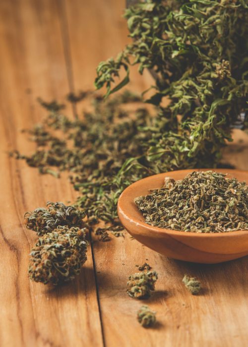 Marijuana plants that are legally planted on wooden floors